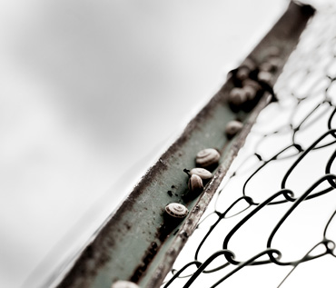 Santolero - Photographer